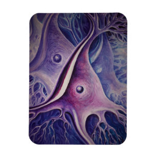 Magnet Flexible neurone pyramidal
