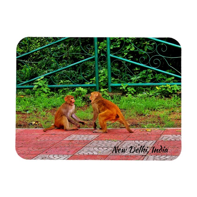 Magnet Flexible New Delhi, Inde (Horizontal)