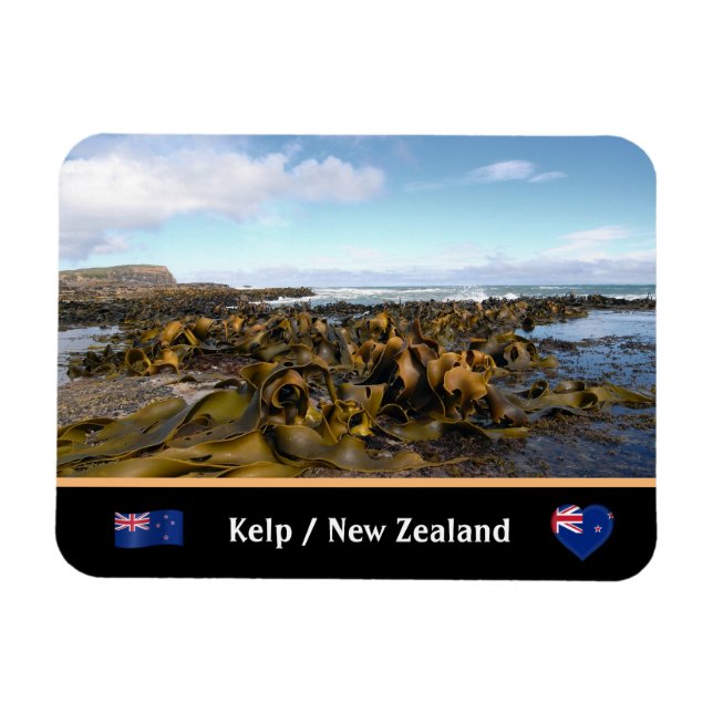 Magnet Flexible New Zealand, Kelp Coast - Curio Bay /The Catlins (Horizontal)