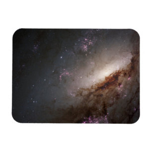 Magnet Flexible Ngc 4258 Sous Formation D'Étoiles Intenses.