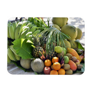 Magnet Flexible Noix de coco, Oranges, Limes, Bananes, Papayas