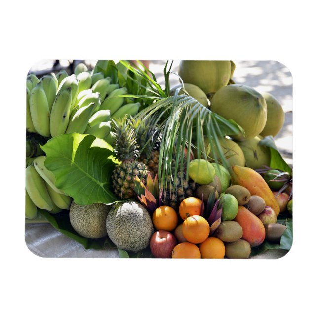 Magnet Flexible Noix de coco, Oranges, Limes, Bananes, Papayas (Horizontal)