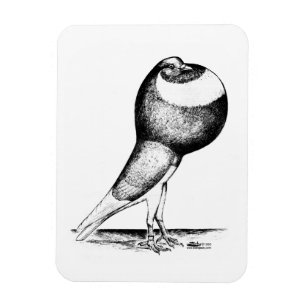 Magnet Flexible Norwich Cropper 1980