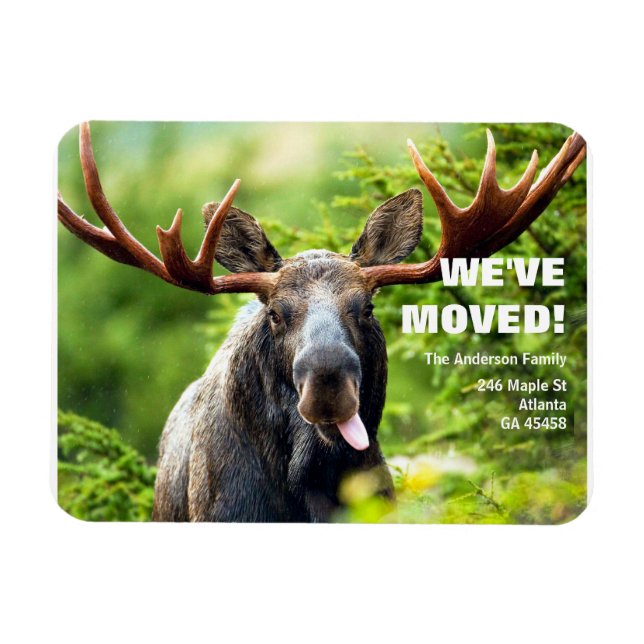 Magnet Flexible Nous avons déménagé | Colorée Moose Moving Faire-p (Horizontal)