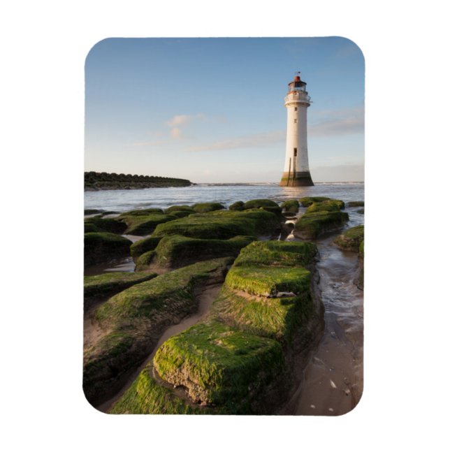 Magnet Flexible Nouveau phare de Brighton (Vertical)