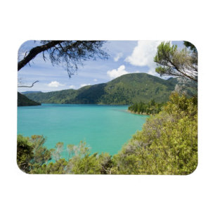 Magnet Flexible Nouvelle-Zélande, South Island, Marlborough Sound