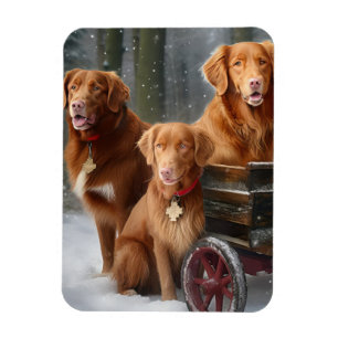Magnet Flexible Nova Scotia Duck Toller Retriever Luge neigeux