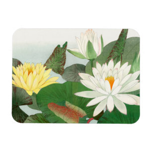 Magnet Flexible Nymphaea lotus, gravure sur bois japonaise, 1917