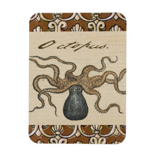 Magnet Flexible Octopus Kraken Illustration Vintage