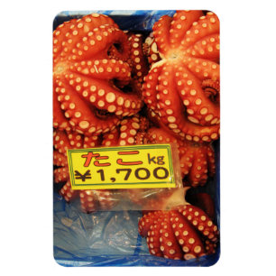 Magnet Flexible Octopus Tako た こ marché de poisson Tsukiji, Tokyo,