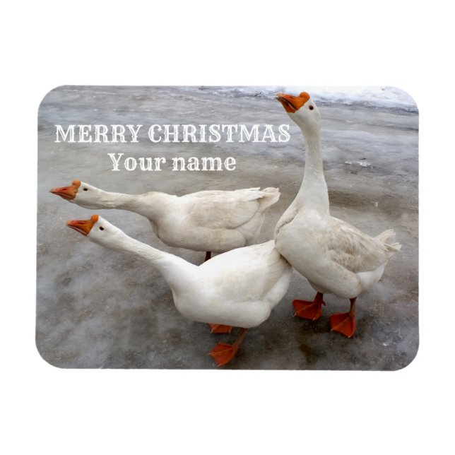 Magnet Flexible Oie blanche (Horizontal)