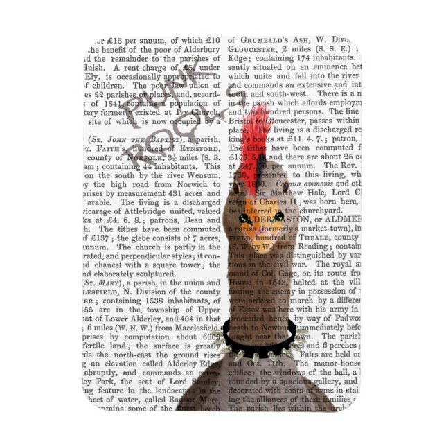 Magnet Flexible Oie de Punk Rock (Vertical)