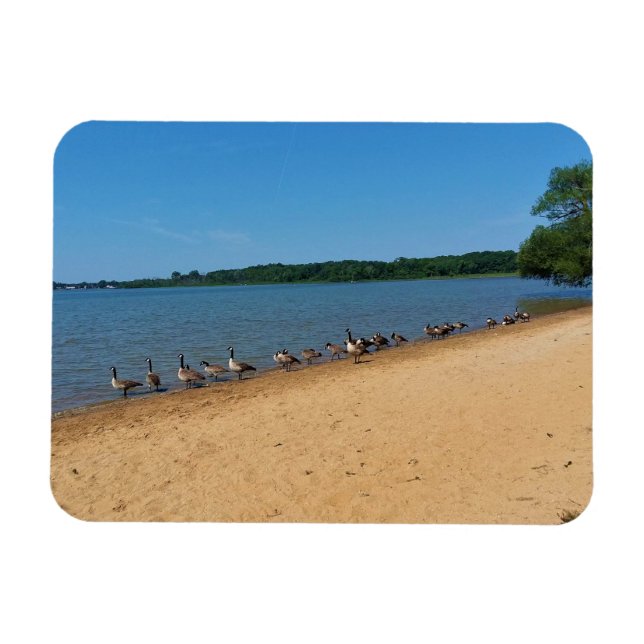 Magnet Flexible Oies au lac Silver, Wisconsin (Horizontal)