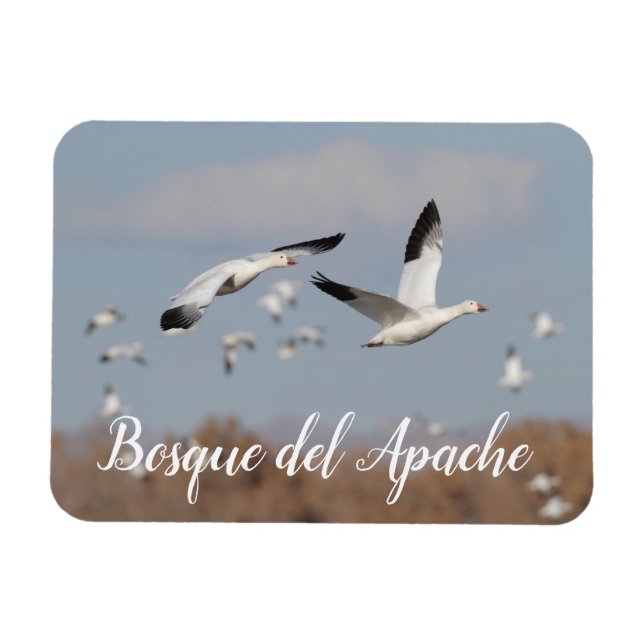 Magnet Flexible Oies dans le ciel du Bosque del Apache (Horizontal)