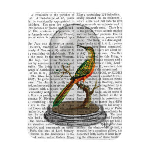 Magnet Flexible Oiseau Dans Bell Jar