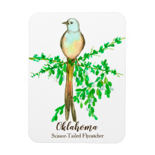 Magnet Flexible Oiseau de chasse à la mouche de l'Oklahoma