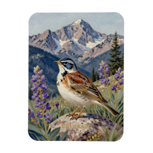 Magnet Flexible Oiseau de l'État du Colorado et montagne Columbine