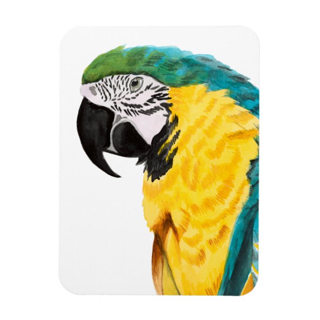 Magnet Flexible Oiseau de perroquet tropical (Vertical)