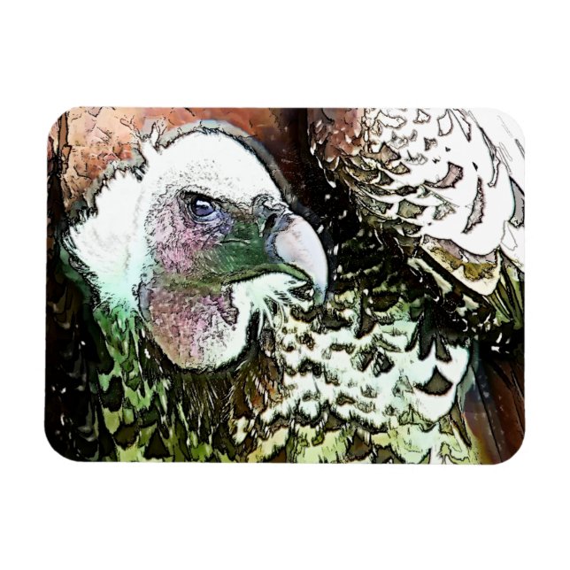 MAGNET FLEXIBLE OISEAU DE PREY VULTURE (Horizontal)