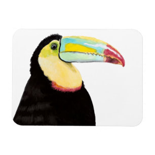 Magnet Flexible Oiseau tropical Toucan