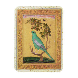 Magnet Flexible Oiseau vert, Mughal (gouache sur le papier)