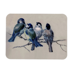 Magnet Flexible Oiseaux bleus et gris sur une aquarelle vintage