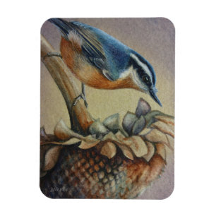 Magnet Flexible Oiseaux de Nuthatch et graines de tournesol Aquare