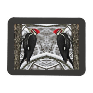 Magnet Flexible Oiseaux de pic pilé Aimant flexible Abstrait