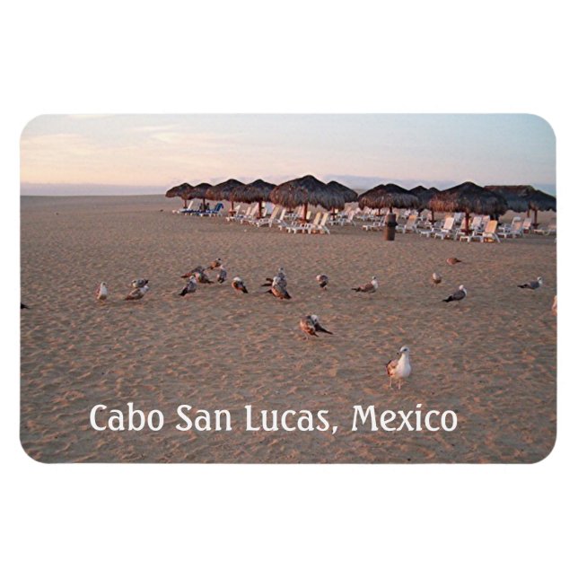 Magnet Flexible Oiseaux sur la plage de Cabo (Horizontal)