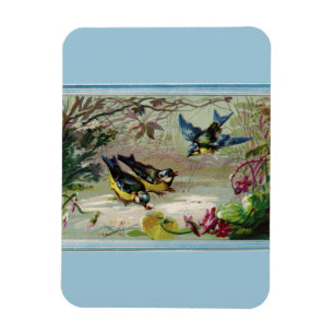 Magnet Flexible Oiseaux vintages dans l'aimant photo de neige