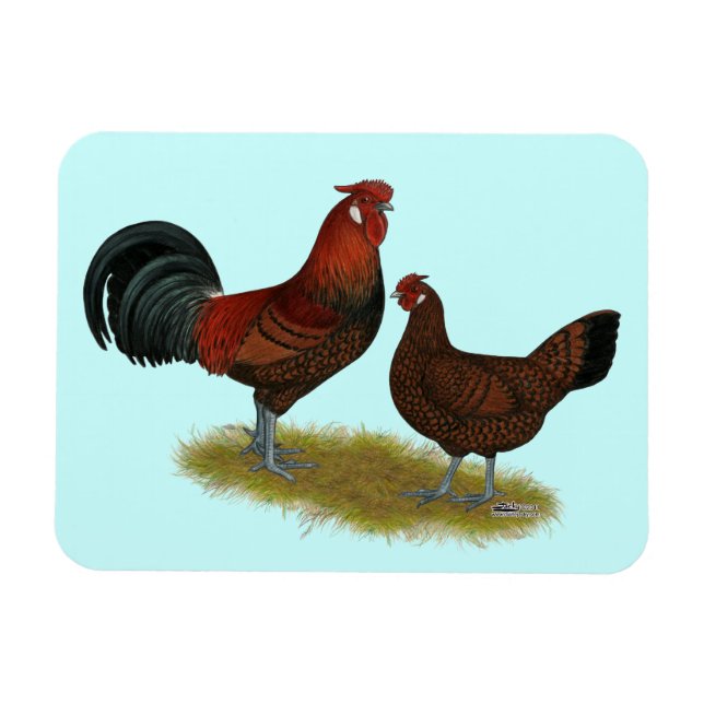 Magnet Flexible Old Anglais Pheasant Fowl (Horizontal)