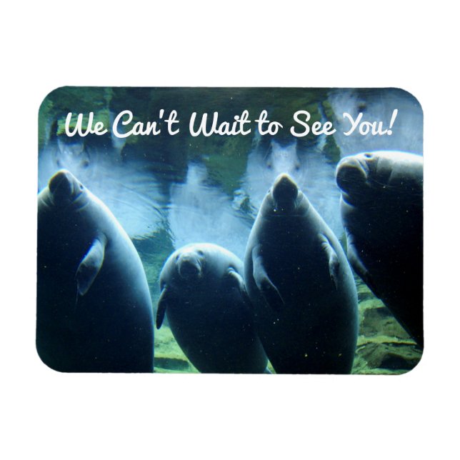 Magnet Flexible On ne peut pas attendre de te voir ! Manatees (Horizontal)