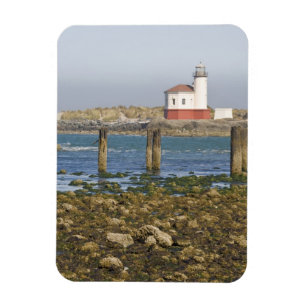 Magnet Flexible OR, côte de l'Oregon, Bandon, Coquille River 2