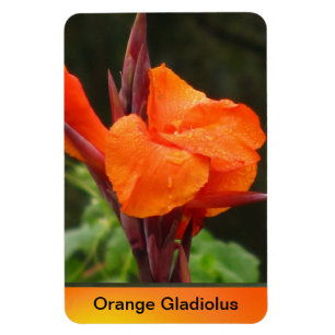 Magnet Flexible Orange Canna Flower
