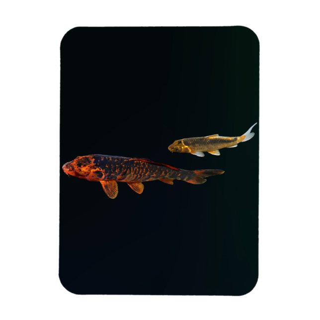 Magnet Flexible Orange Koi et Gold Koi (Vertical)