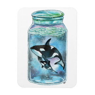 Magnet Flexible Orca dans le Jar