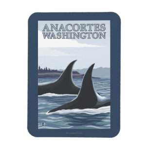 Magnet Flexible Orca Whales #1 - Anacortes, Washington