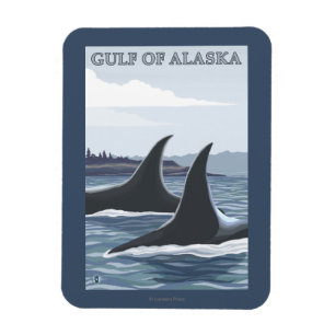 Magnet Flexible Orca Whales #1 - Golfe de l'Alaska