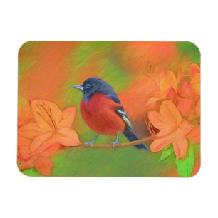 Magnet Flexible Orchard Oriole Songbird Peinture Oiseau original