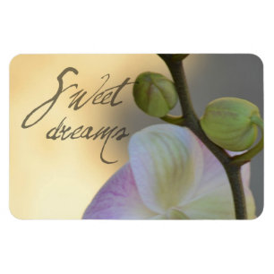 Magnet Flexible Orchidée de Sogni D'oro (rêves doux)