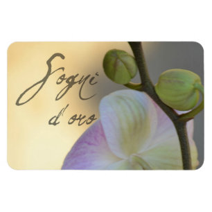 Magnet Flexible Orchidée de Sogni D'oro (rêves doux)