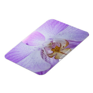 Magnet Flexible Orchidée rose