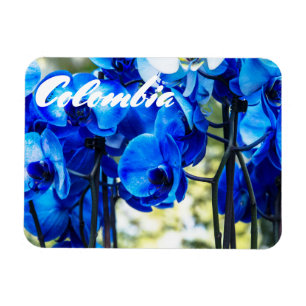Magnet Flexible Orchidées bleues