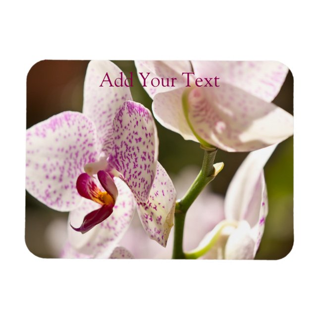 Magnet Flexible Orchidées par Shirley Taylor (Horizontal)