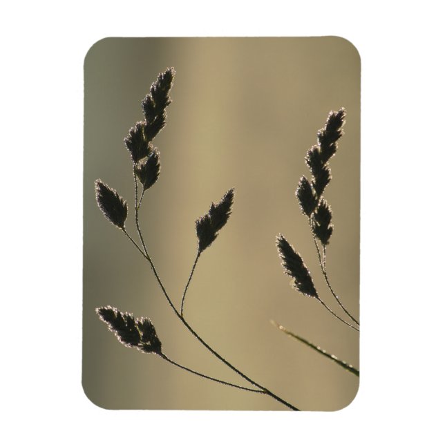 Magnet Flexible Oreille d'herbe humide (Vertical)