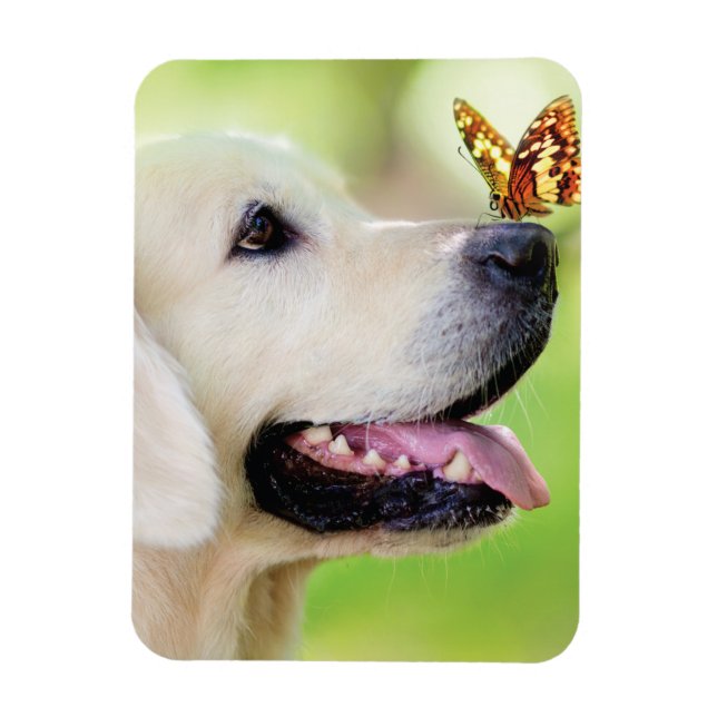 Magnet Flexible Oreiller À Lancer Du Labrador Et Du Papillon (Vertical)