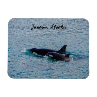 Magnet Flexible Orques - Juneau, Alaska - Souvenir de voyage