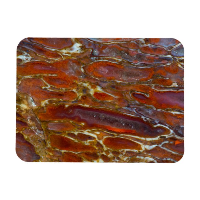 Magnet Flexible Os de dinosaure pétrifié (Horizontal)