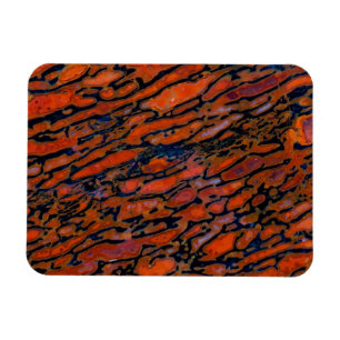 Magnet Flexible Os fossile de dinosaure pétrifié rouge