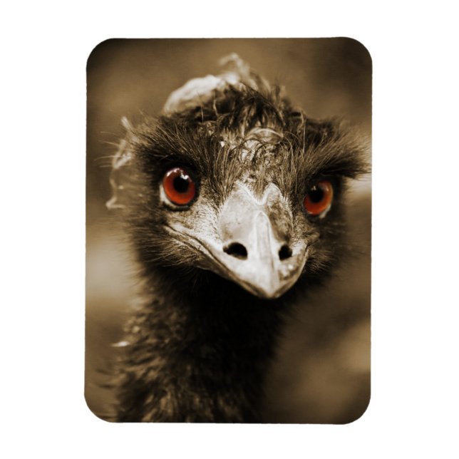 Magnet Flexible Ostriches Look aimant (Vertical)